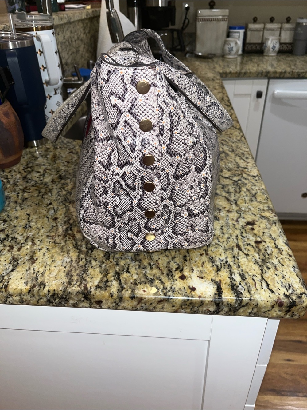 EUC Authentic Hammitt Ferris Hobo in Daisy Snake Print Embossed Leather Handbag. - Picture 4 of 10